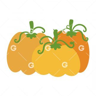 Thanksgiving Pumpkin Patch SVG