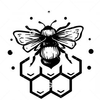 Bee With Honey Comb SVG
