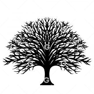 Large Tree of Life SVG