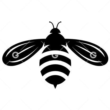 Summer Honey Bee SVG