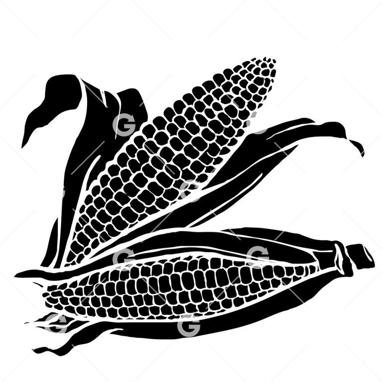 Fresh Farm Corn SVG | SVGed