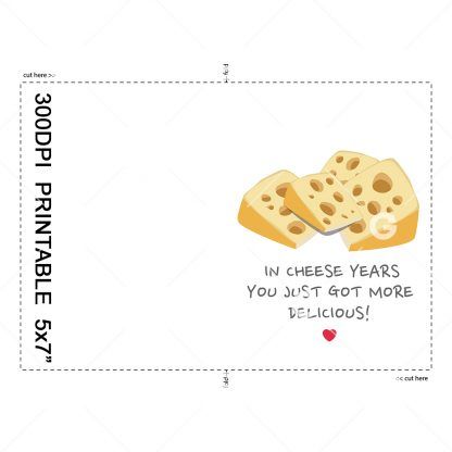 In Cheese Years Birthday Card Example