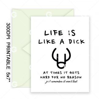 Life is Like A Dick Motivational Card