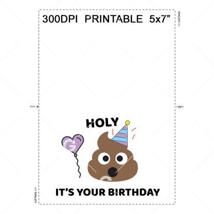 Holy Shit Birthday Card Example